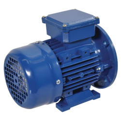 Elektrinis variklis 0,55 kW EM80A4B3B5300IE2A