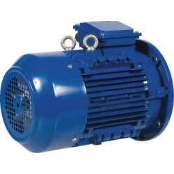 Elektrinis variklis 1,5 kW EM100L6B5300IE3AKR