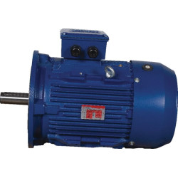 Elektrinis variklis 4 kW EM112M2B5300IE3AKR