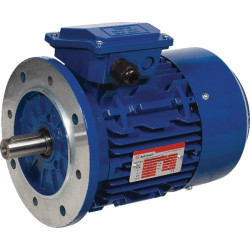 Elektrinis variklis 3 kW EM100LB4B5500IE3A