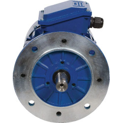 Elektrinis variklis 3 kW EM100LB4B5500IE3A