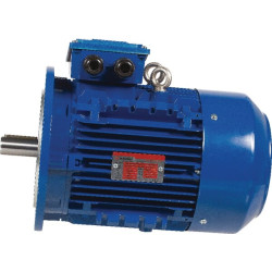 Elektrinis variklis 0,75 kW EM90S6B5300IE3AKR