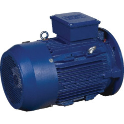 Elektrinis variklis 7,5 kW EM132M2B5500IE3AKR