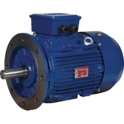 Elektrinis variklis 18,5 kW EM160L2B5500IE3GKR