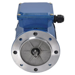 Elektrinis variklis 0,25 kW EM71A4B5300IE2A
