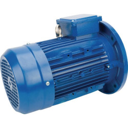 Elektrinis variklis 0,75 kW EM80B4B14300IE3AKR