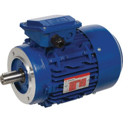 Elektrinis variklis 0,75 kW EM90S6B14300IE3AKR