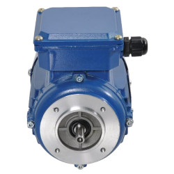 Elektrinis variklis 0,25 kW EM63B2B14300IE2A