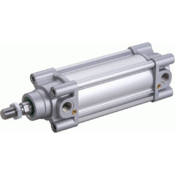 Standartinis cilindras DN32300CMG2