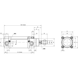 Standartinis cilindras DN40300CMG2