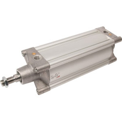 Cilindrų serija 63 63MP2C100A0200R