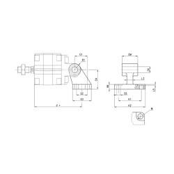 Šakotinė pėda ZC63