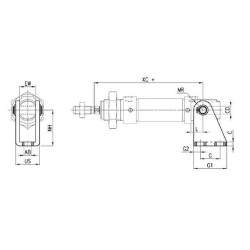 Šakotinė pėda I1216