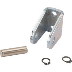 Šakotinė pėda I2025