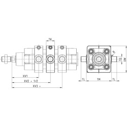 Centrinis velenas F6363