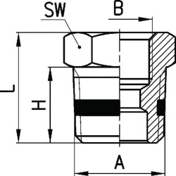 Reduktorius S25301214