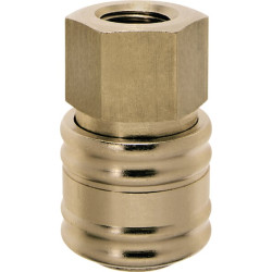 Q-Rel jungtis su 3/8" BSP F/Thd ESO38I
