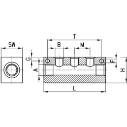 Kolektoriaus blokas 3053124L38