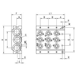 CNVL3H3