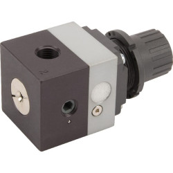 Tikslus reguliatorius PR104M07