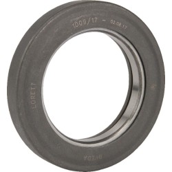 Case - IH 640 500028300 Atlaisvinimo guolis