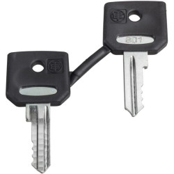 Raktų rinkinys N455 Ronis ZBG455