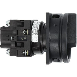 Rotacinis jungiklis 2P, 20A, juodas T01102EASVBSW
