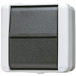 Jungiklis 806W