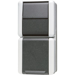 Lizdas su jungikliu 876W