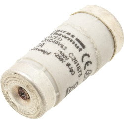 Saugiklis 400 V 63 A Ilgis 36 mm 63AD02