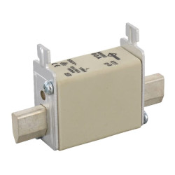 Saugiklis standartinis peilis 500V 100A LNH0100M