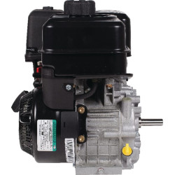 Variklis, horizontalus, 7,4 AG, „Vanguard“, „Briggs & Stratton“ 19L1320320F1