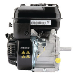 Variklis, horizontalus, 6,4 AG, Briggs & Stratton 1062320272F1