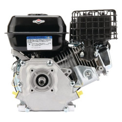 Variklis, horizontalus, 6,4 AG, Briggs & Stratton 1062320272F1