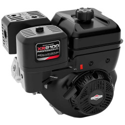 Variklis, horizontalus, 12,9 AG, 2100 serija, Briggs & Stratton 25T2320108F1