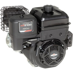 Variklis, horizontalus, 12,9 AG, 2100 serija, Briggs & Stratton 25T2370109F1