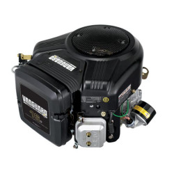 Variklis, vertikalus, 16 AG, 2 cilindrų, „Vanguard“, „Briggs & Stratton“ 3057770162B5