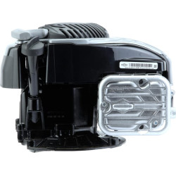 Variklis, vertikalus, 3,9 AG, 575EX serija, Briggs & Stratton 09P9020003H5