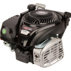 Variklis, vertikalus, 5 AG, 750 EX serija, Briggs & Stratton 1008020116H5