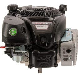 Variklis, vertikalus, 5 AG, 750 EX serija, Briggs & Stratton 1008020116H5