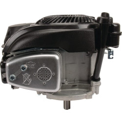 Variklis, vertikalus, 5 AG, 750 EX serija, Briggs & Stratton 1006025025H5