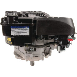 Variklis, vertikalus, 5 AG, 750 EX serija, Briggs & Stratton 1006025025H5