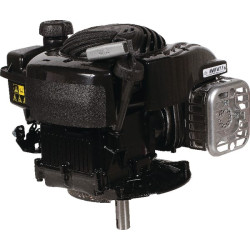 Variklis, vertikalus 3,5 HK, 500 serijos, Briggs & Stratton 09P8020004H5