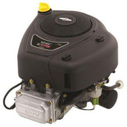 Variklis, vertikalus, 18,5 AG, Briggs & Stratton 31R9770121B5