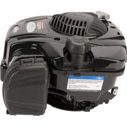 Variklis, vertikalus, 4,4 AG, 625E serija, Briggs & Stratton 093J020071H5