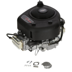 Variklis, vertikalus, 13,3 AG, 3130 serija, Briggs & Stratton 21R8070062B5