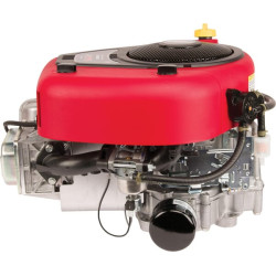 Variklis, vertikalus, 17,3 AG, 4175 serija, Briggs & Stratton 31R7770010B5