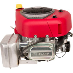 Variklis, vertikalus, 17,3 AG, 4175 serija, Briggs & Stratton 31R7770010B5