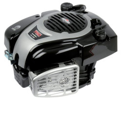 Variklis, vertikalus, 5 AG, 750 EX serija, Briggs & Stratton 1006022126H5
