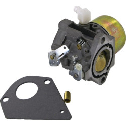 Karbiuratorius 495784